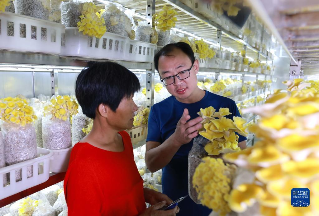 新云顶红包城是真的吗